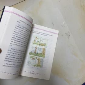 感动童年的阅读
