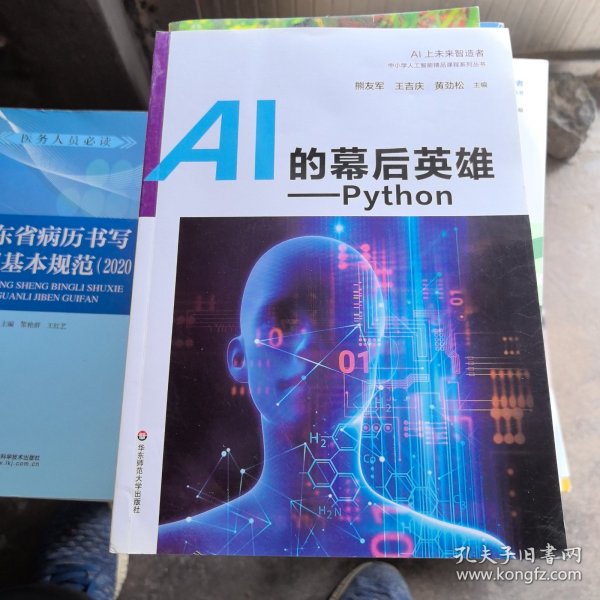 AI的幕后英雄：Python中小学人工智能精品课程系列丛书