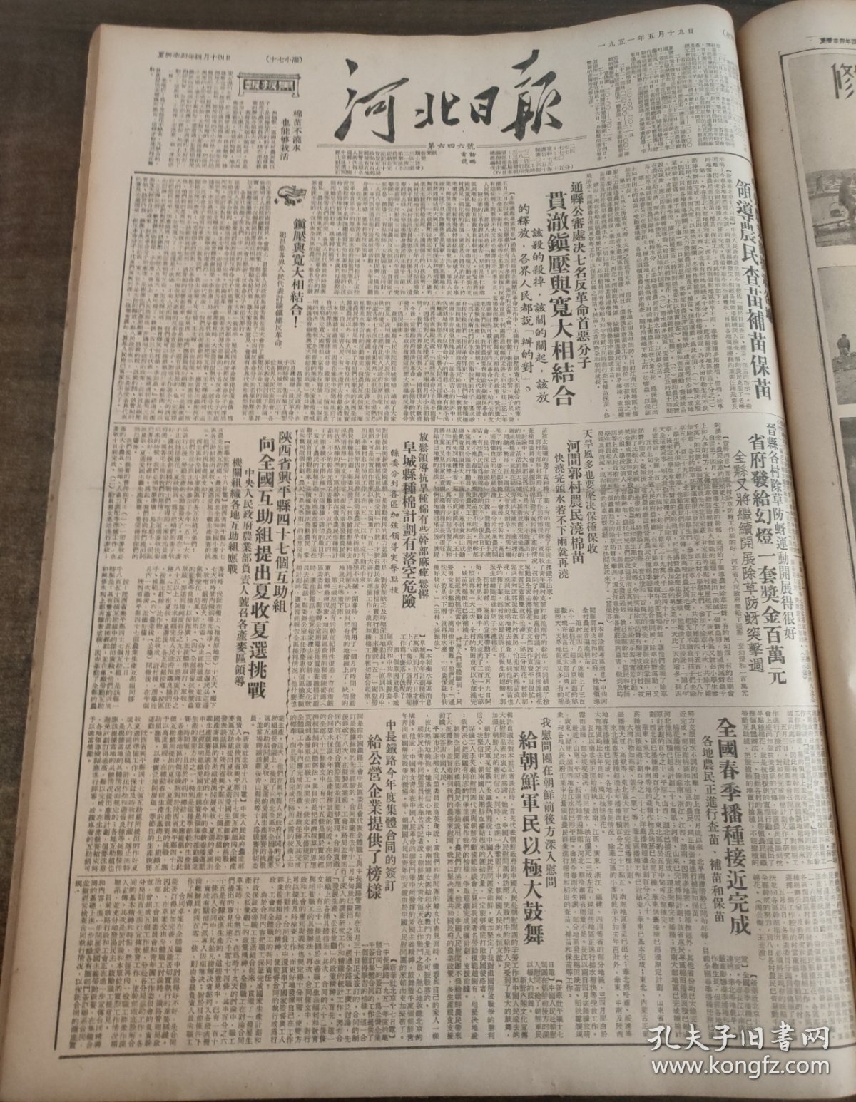 河北日报1951年5月19日陕西省兴平县阜城县,河间郭村,甄白子蠡县北大留村妇女劳模崔小亭武安西万年村淶水南王庄昌黎五区,霸县二区，沧县西花园村副主席刘万章，昌平县上庄村徐志禄妇女韩凤瑞武安益华纱厂医生郭月宇,李奇微
