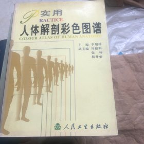 实用人体解剖彩色图谱