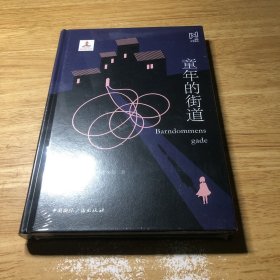 北欧文学译丛:童年的街道