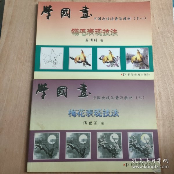 中国画技法普及教材·学国画：翎毛表现技法