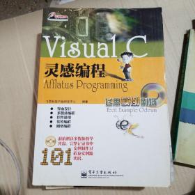 Visual C灵感编程