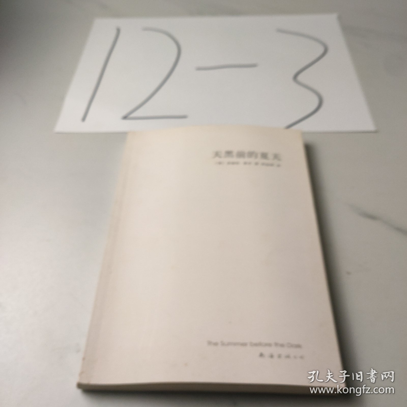 天黑前的夏天：新经典文库348；莱辛作品01