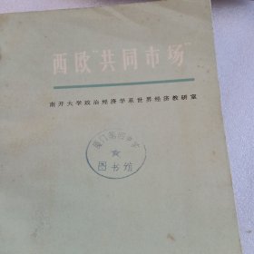 西欧共同市场