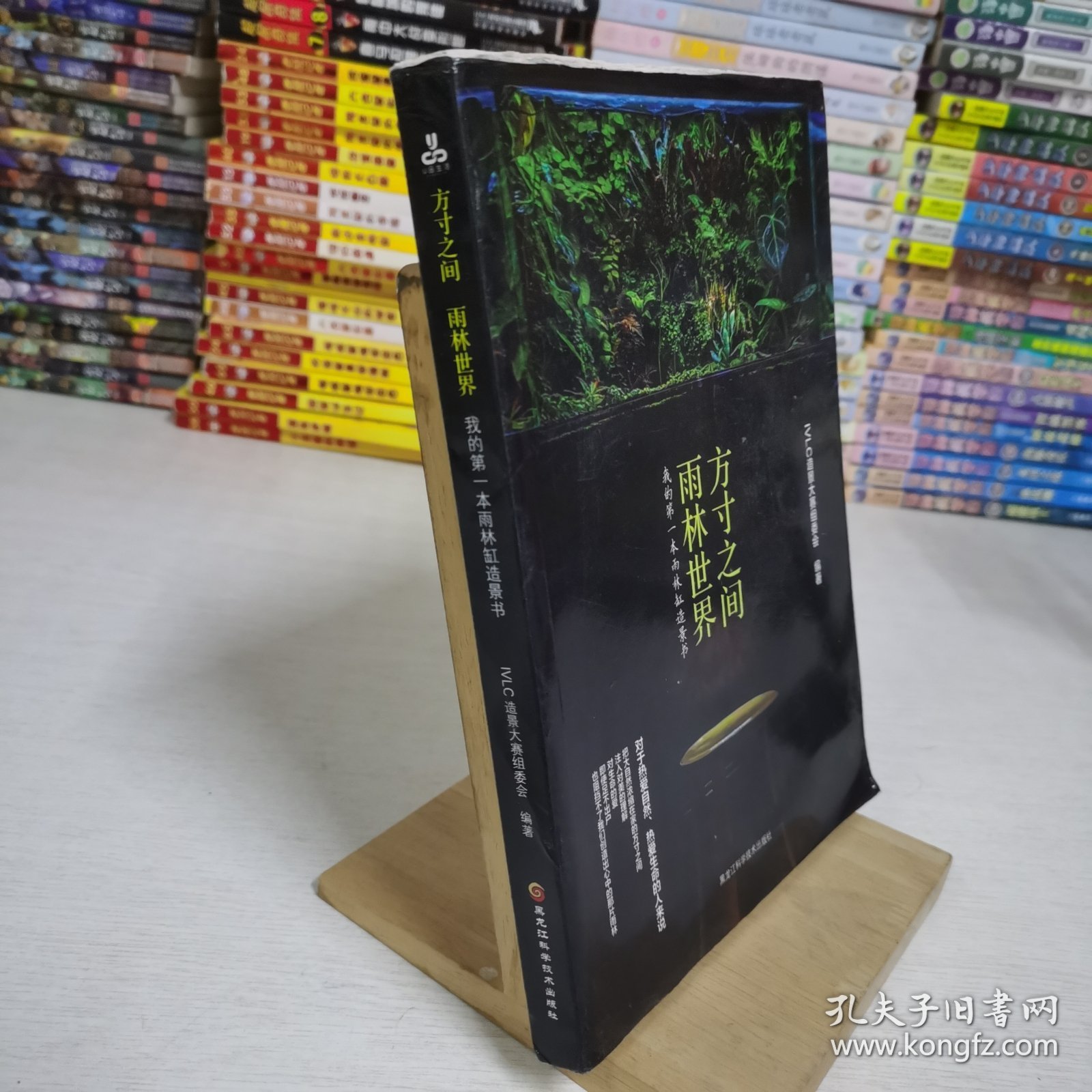 方寸之间，雨林世界：我的第一本雨林缸造景书