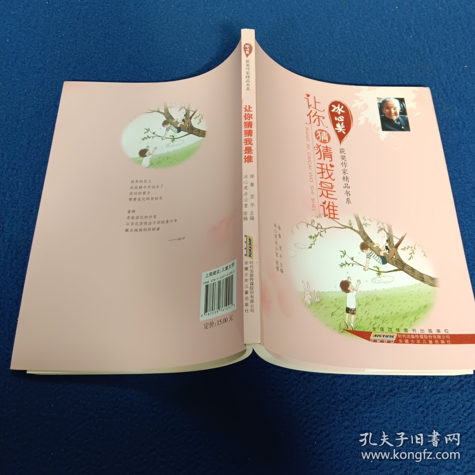 冰心奖获奖作家精品书系.让你猜猜我是谁