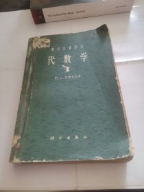 (数学名著译丛) 代数学 I