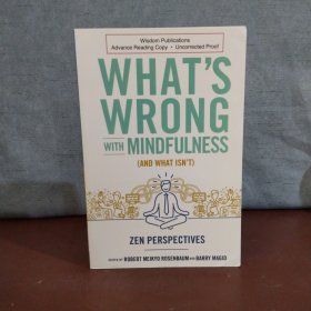 What's Wrong with Mindfulness 【英文原版】