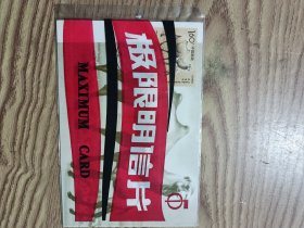 野骆驼极限明信片