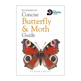 Concise Butterfly and Moth Guide 蝴蝶飞蛾简明指南 口袋科普书