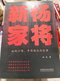 新杨家将（杨家将血战沙场，中国硬汉的故事，波澜壮阔的宋辽之战，隐藏至深的复国阴谋）