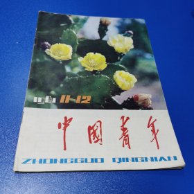 中国青年 1981 11—12