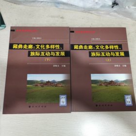 藏彝走廊：文化多样性、族际互动与发展（上、下全二册）