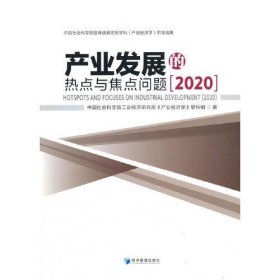 产业发展的热点与焦点问题（2020）