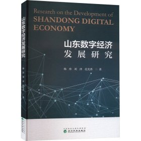山東數(shù)字經(jīng)濟(jì)發(fā)展研究