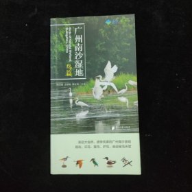 廣州南沙濕地 鳥(niǎo)篇
