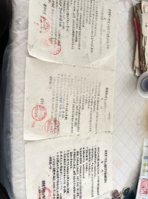 零陵文献 1984年零陵香花坝自留山公约