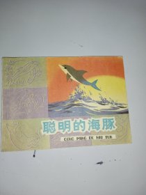 聪明的海豚