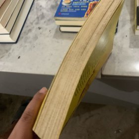 刀锋上的文明：宋辽金西夏的另类历史