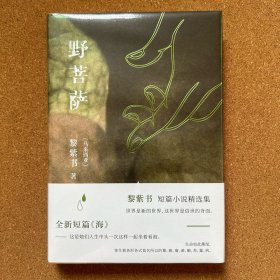 野菩萨（黎紫书短篇小说精选集，特别收入全新短篇《海》，王德威倾力推荐）