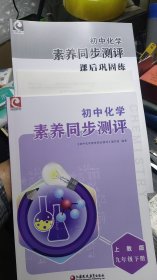 初中化学素养同步测评 上教版 九年级下册