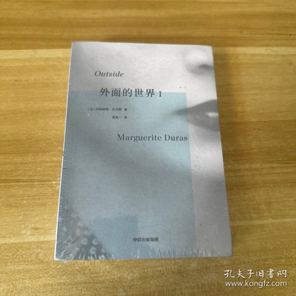 外面的世界I 杜拉斯作品集 玛格丽特杜拉斯著 情人作者 热衷于私人写作的杜拉斯为身外世界所写 中信出版社