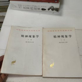 精神现象学 上下卷【品看图】