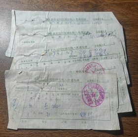 1977年河北省唐县食品公司生猪收购入库通知书5张一组