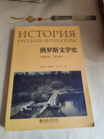 俄罗斯文学史（俄文版）（第3版）