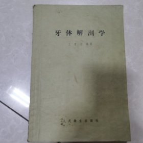 牙体解剖学