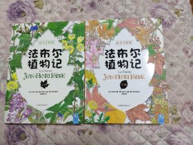 法布尔植物记 上下全2册 最美手绘版