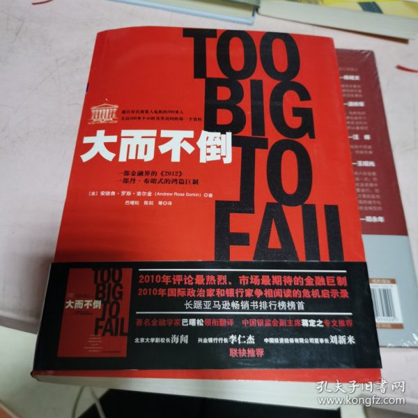 大而不倒：2010年全球政要和首席执行官争相阅读的金融危机启示录