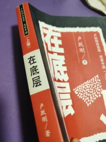 卢跃刚自选集・观察中国：在底层 （上卷）