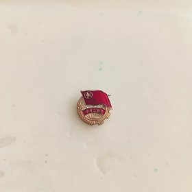 中国共青团徽章1