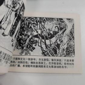 精品连环画：《阮氏丁香》