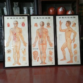 古玩旧藏中医收藏针灸穴位挂图 长100厘米 宽54厘米 后装裱玻璃木框 广州部队后勤部卫生部 编 广州美术学院革命委员会 绘 人民卫生出版社 天津市人民印刷厂印刷 新华书店北京发行所发行（只限国内发行）各地新华书店经售 统一书号14048-3257 开本：520×1092毫米 印张：6 印数：1-250,000 1971年4月第1次印刷 定价：每套三张（附说明一册）1.09元