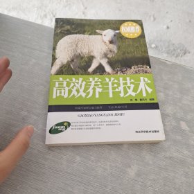 高效养羊技术