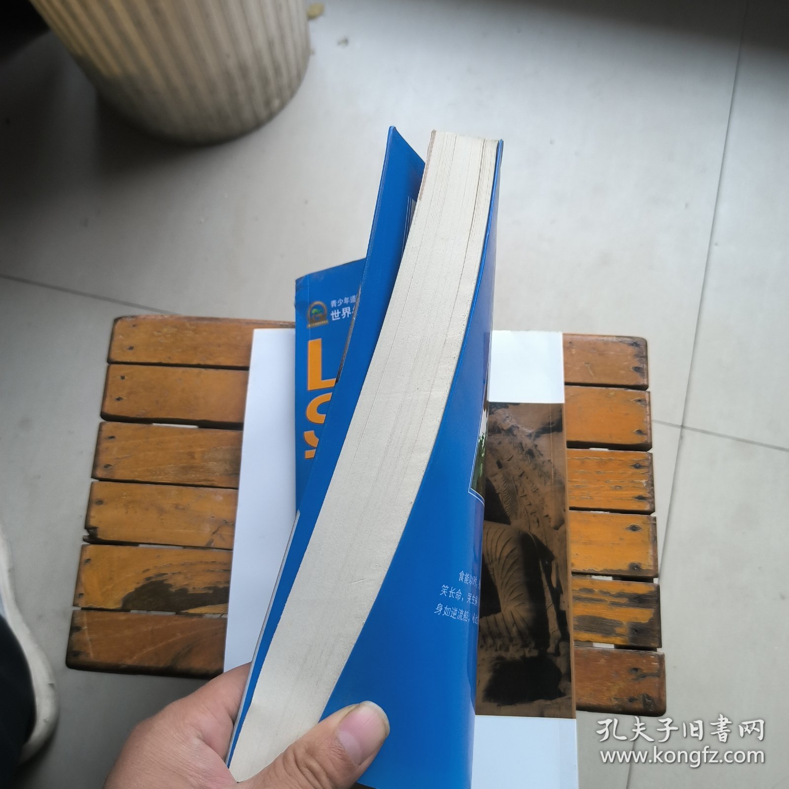 世界名人非常之路·医学世家走出的医圣：李时珍