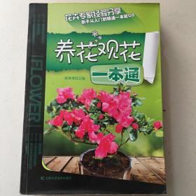 养花观花一本通