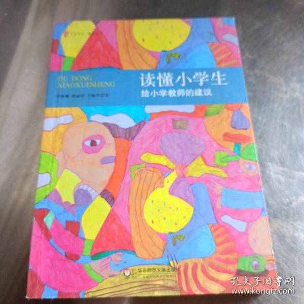 大夏书系·读懂小学生：给小学教师的建议