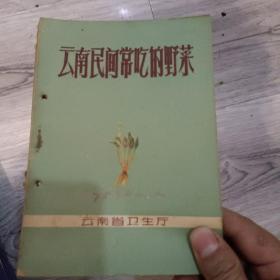 云南民间常吃的野菜