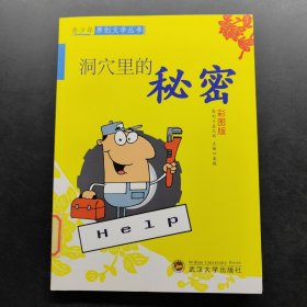 青少年原创文学丛书 洞穴里的秘密 彩图版