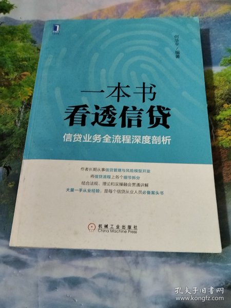 一本书看透信贷：信贷业务全流程深度剖析