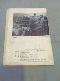 遵义文学（1987年总第41期 敢死队喋血台儿庄、金口玉言、在盗窃案背后……）