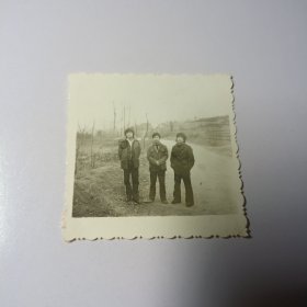 老照片–三名青年站乡村路边留影（身后景象清晰可见）