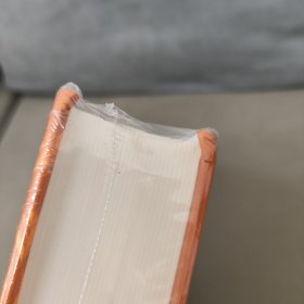 内北国而外中国：蒙元史研究 精装