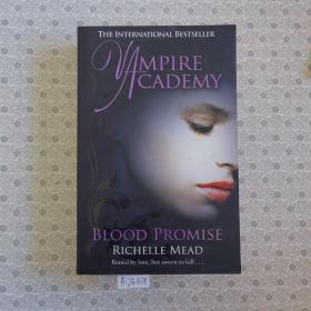 Vampire Academy  Blood Promise. Richelle Mead 英语进口原版小说