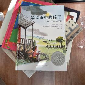 暴风雨中的孩子：美国凯迪克银奖作品