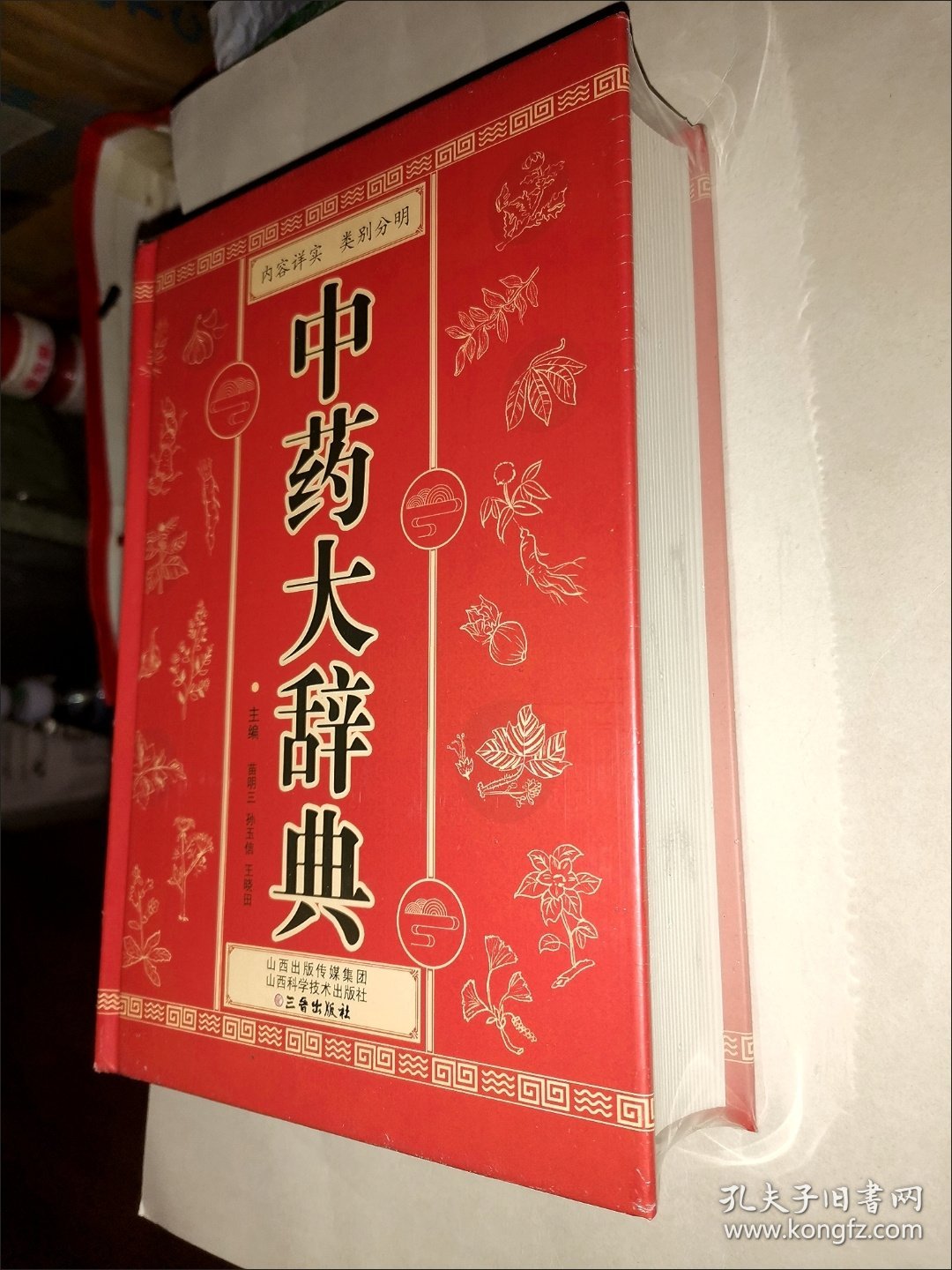 中药大辞典